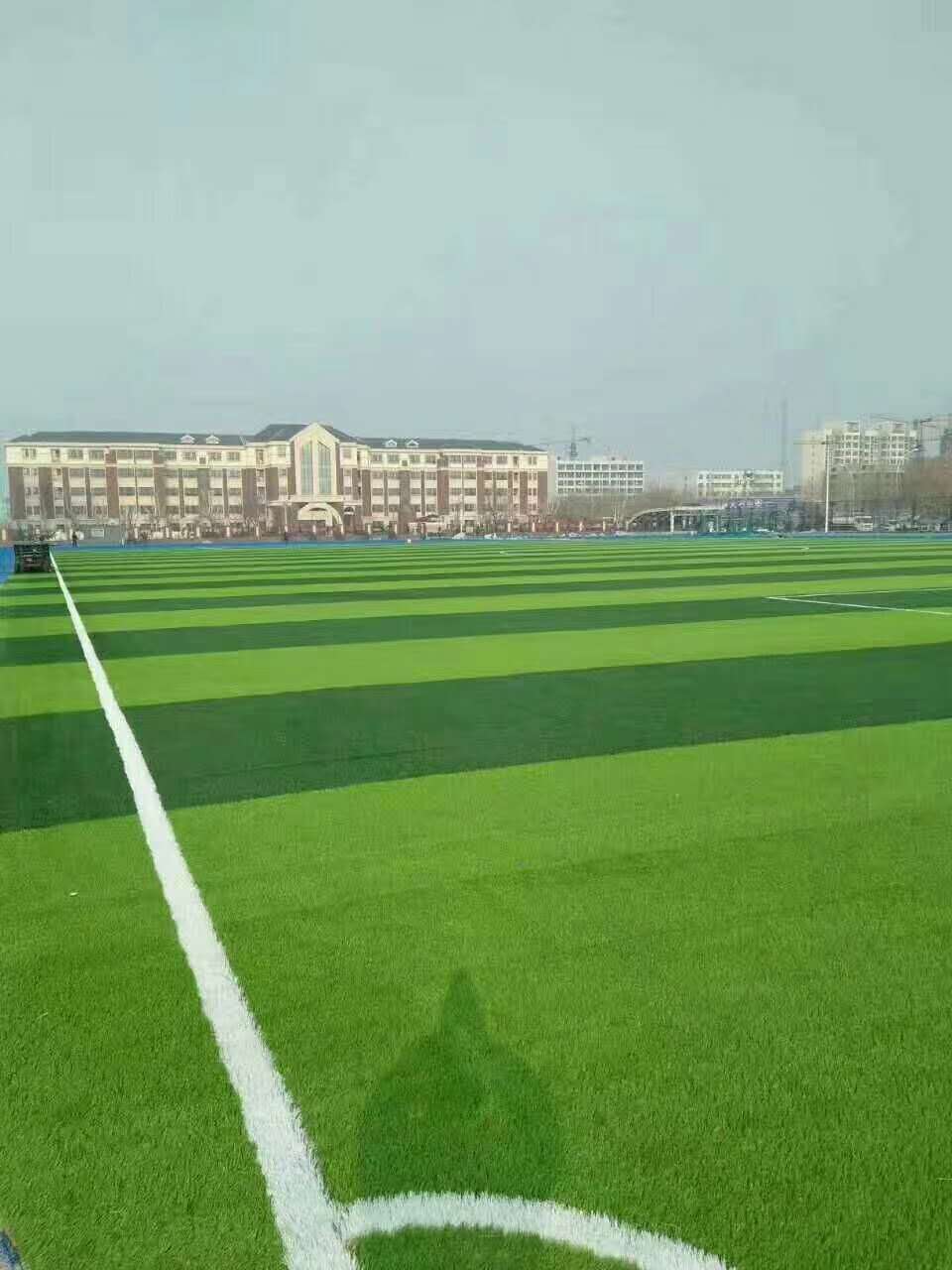 自贡市透气型塑胶跑道仿真草坪 - 方案